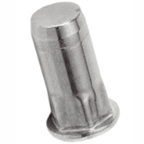 BN 23363 - Blind rivet nuts flat head, semi-hexagonal shank, closed end (FASTEKS® FILKO HC/ROFG), stainless steel A2