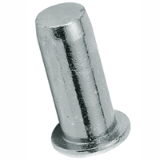 BN 25540 - Blind rivet nuts flat head, round shank, closed end (FASTEKS® FILKO UC/FEFG), steel, zinc plated with thick layer passivation